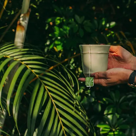 Πανσιόν Casa Do Contador - & Pool 4*