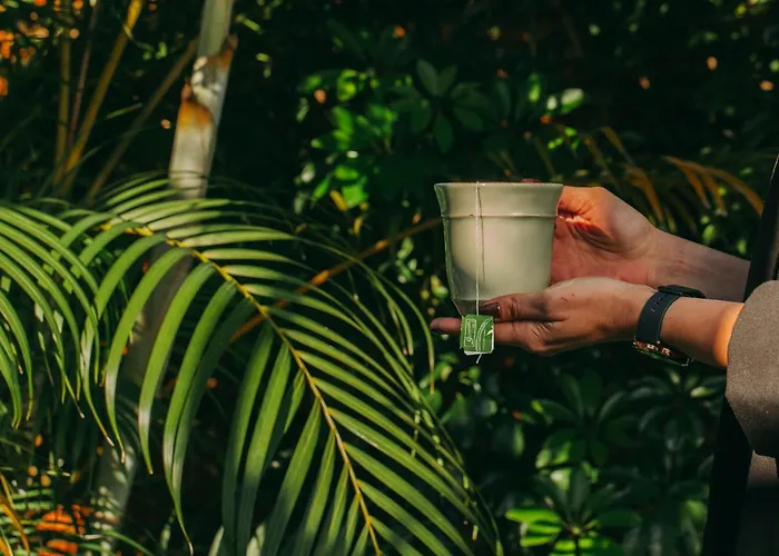 Penzion Casa Do Contador - & Pool 4*