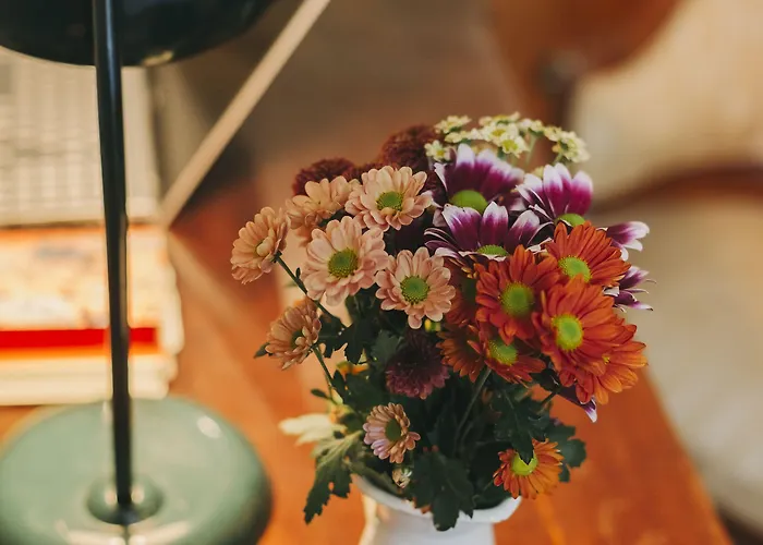 Guest house Casa Do Contador - & Pool Ponta Delgada (Sao Miguel)